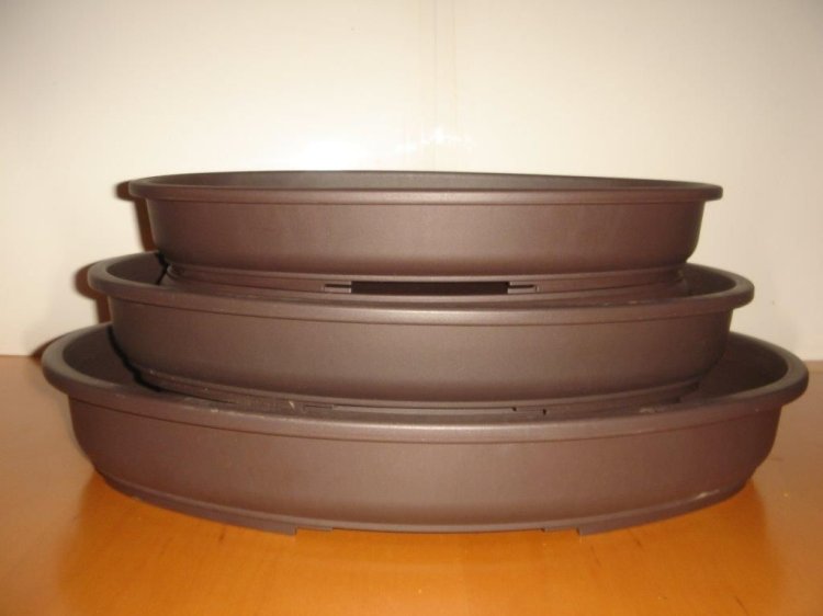 Set of 3no Shallow Plastic Bonsai Pots