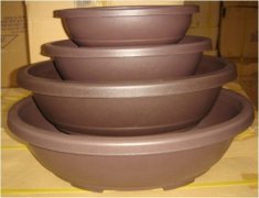 Plastic Bonsai Pot - Oval 18.5 x 14 x 6 cm