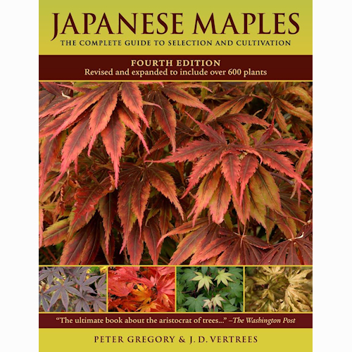 Japanese Maples - J.D. Vertrees - Click Image to Close